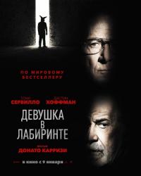 Девушка в лабиринте (2019) смотреть онлайн